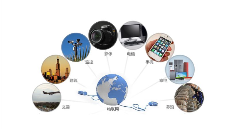 成都物联网平台：型号解析与报价考量